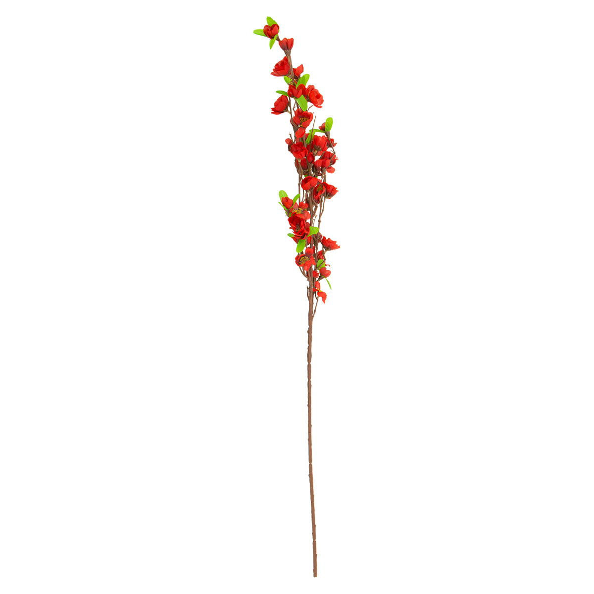 Flor De Durazno Rojo | Flores | decoracion
